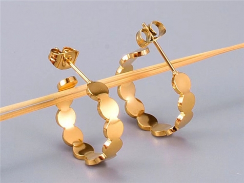 BC Wholesale Earrings Jewelry Stainless Steel 316L Earrings SJ63E0539