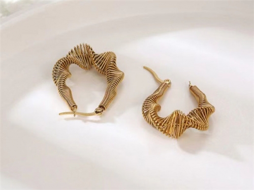 BC Wholesale Earrings Jewelry Stainless Steel 316L Earrings SJ63E0702