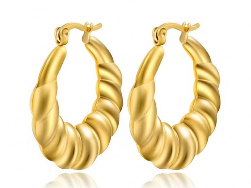BC Wholesale Earrings Jewelry Stainless Steel 316L Earrings SJ63E0710