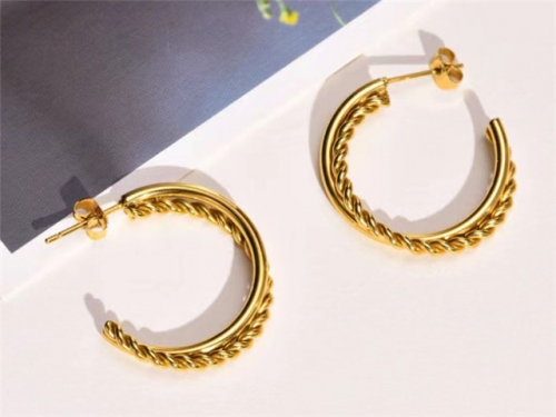 BC Wholesale Earrings Jewelry Stainless Steel 316L Earrings SJ63E0726