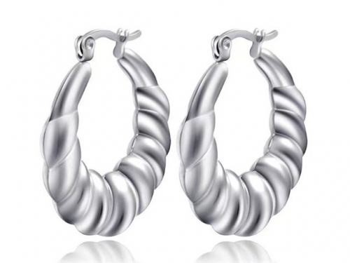 BC Wholesale Earrings Jewelry Stainless Steel 316L Earrings SJ63E0711