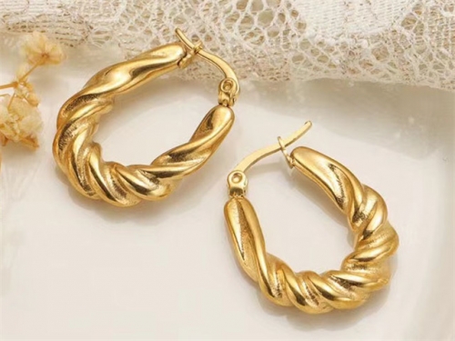 BC Wholesale Earrings Jewelry Stainless Steel 316L Earrings SJ63E0666