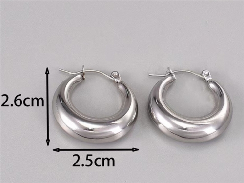 BC Wholesale Earrings Jewelry Stainless Steel 316L Earrings SJ63E0645