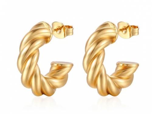 BC Wholesale Earrings Jewelry Stainless Steel 316L Earrings SJ63E0512