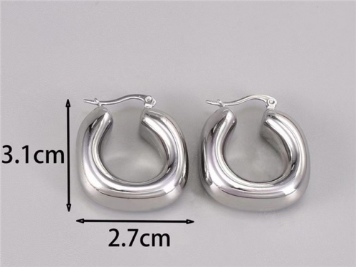 BC Wholesale Earrings Jewelry Stainless Steel 316L Earrings SJ63E0643