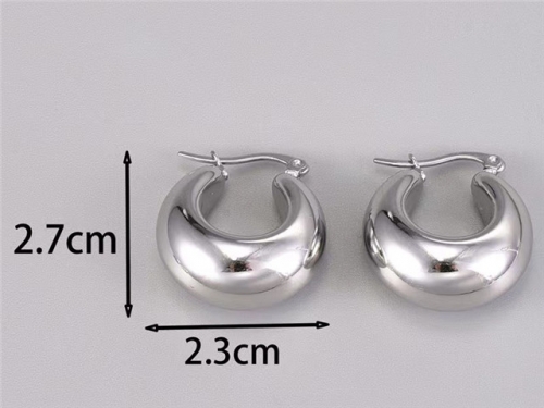 BC Wholesale Earrings Jewelry Stainless Steel 316L Earrings SJ63E0555