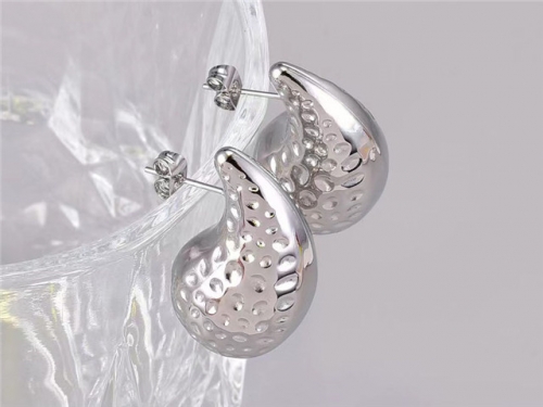BC Wholesale Earrings Jewelry Stainless Steel 316L Earrings SJ63E0455