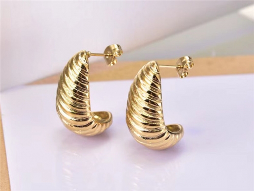 BC Wholesale Earrings Jewelry Stainless Steel 316L Earrings SJ63E0681