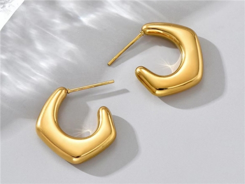 BC Wholesale Earrings Jewelry Stainless Steel 316L Earrings SJ63E0408