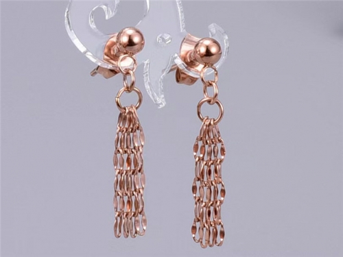 BC Wholesale Earrings Jewelry Stainless Steel 316L Earrings SJ63E0768