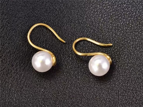 BC Wholesale Earrings Jewelry Stainless Steel 316L Earrings SJ63E0493