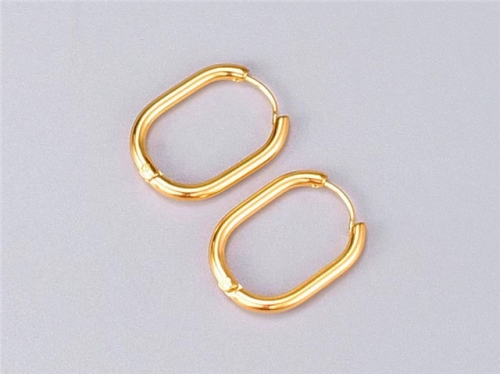 BC Wholesale Earrings Jewelry Stainless Steel 316L Earrings SJ63E0484