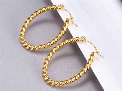 BC Wholesale Earrings Jewelry Stainless Steel 316L Earrings SJ63E0636