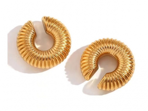 BC Wholesale Earrings Jewelry Stainless Steel 316L Earrings SJ63E0700
