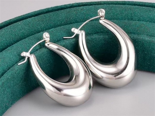 BC Wholesale Earrings Jewelry Stainless Steel 316L Earrings SJ63E0545
