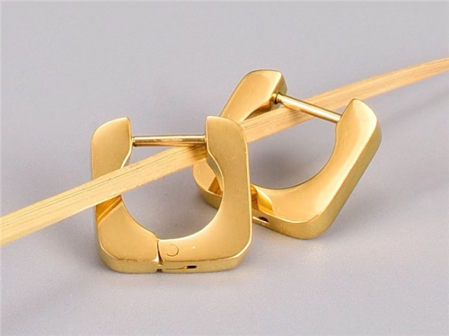 BC Wholesale Earrings Jewelry Stainless Steel 316L Earrings SJ63E0779
