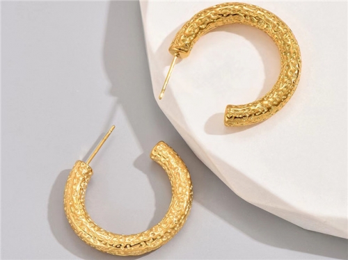 BC Wholesale Earrings Jewelry Stainless Steel 316L Earrings SJ63E0713