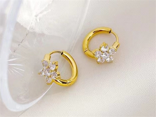 BC Wholesale Earrings Jewelry Stainless Steel 316L Earrings SJ63E0413