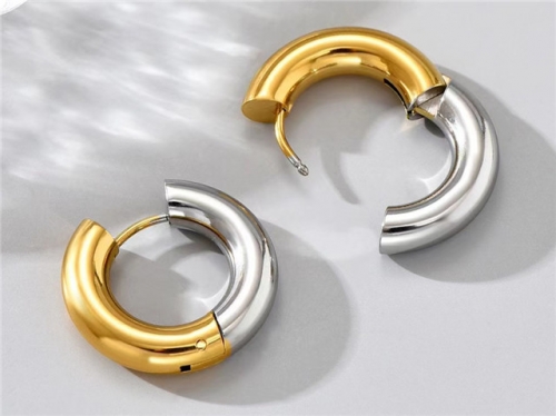BC Wholesale Earrings Jewelry Stainless Steel 316L Earrings SJ63E0483