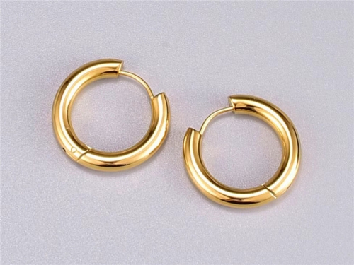 BC Wholesale Earrings Jewelry Stainless Steel 316L Earrings SJ63E0436