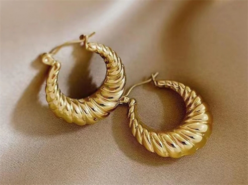 BC Wholesale Earrings Jewelry Stainless Steel 316L Earrings SJ63E0504