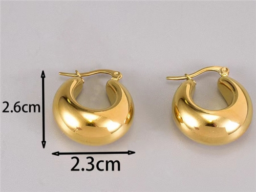 BC Wholesale Earrings Jewelry Stainless Steel 316L Earrings SJ63E0554
