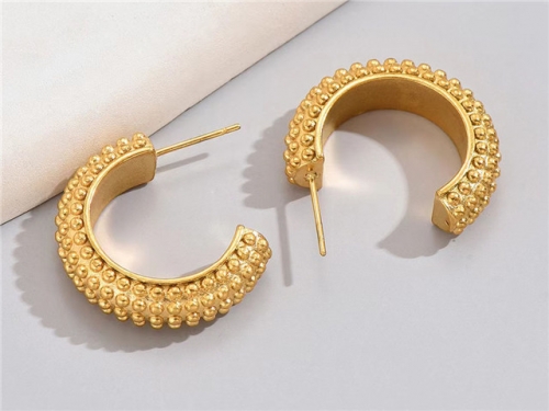BC Wholesale Earrings Jewelry Stainless Steel 316L Earrings SJ63E0719
