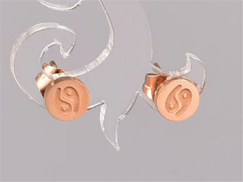 BC Wholesale Earrings Jewelry Stainless Steel 316L Earrings SJ63E0756
