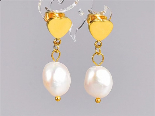 BC Wholesale Earrings Jewelry Stainless Steel 316L Earrings SJ63E0759