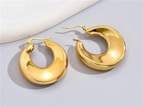 BC Wholesale Earrings Jewelry Stainless Steel 316L Earrings SJ63E0588