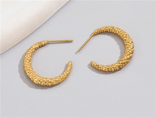 BC Wholesale Earrings Jewelry Stainless Steel 316L Earrings SJ63E0742