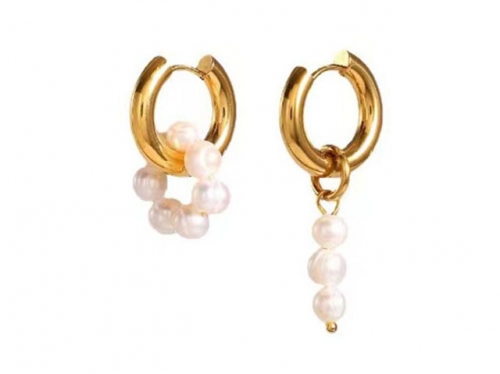 BC Wholesale Earrings Jewelry Stainless Steel 316L Earrings SJ63E0476
