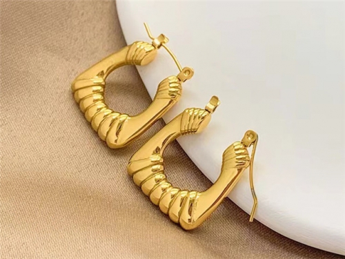 BC Wholesale Popular Earrings Jewelry Stainless Steel 316L Earrings SJ148E0170