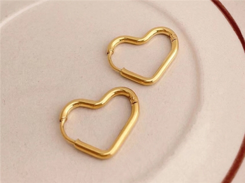 BC Wholesale Popular Earrings Jewelry Stainless Steel 316L Earrings SJ148E0088