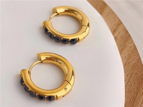 BC Wholesale Popular Earrings Jewelry Stainless Steel 316L Earrings SJ148E0005