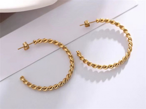 BC Wholesale Popular Earrings Jewelry Stainless Steel 316L Earrings SJ148E0094