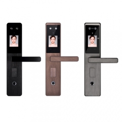 FE205 WIFI Smart Face Lock with App