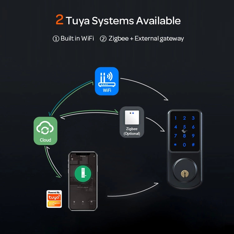 Tuya smart door lock 