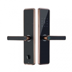 FL-H10 Household SmartPhone Door Lock