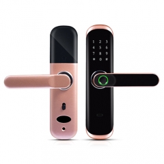 FL-5 WIFI Smart Fingerprint Lock with Tuya App