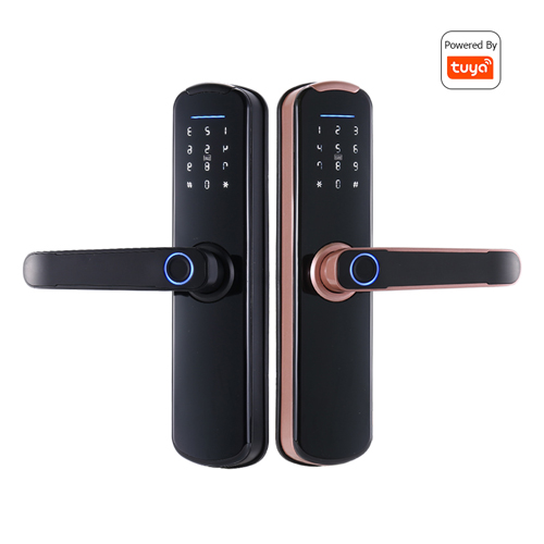 FL-X8 WIFI Smart Fingerprint Lock with App