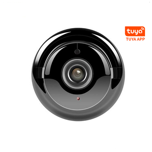 Tuya App and Smart IP Camera 