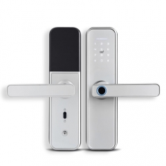 FL-X5 Smart Fingerprint Lock with Tuya App