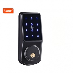 FL-10 Bluetooth Smart Lock with App