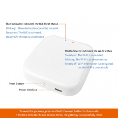 Smart WIFI BLE APP Gate way for Tuya APP connect with 2.4G Wi-fi