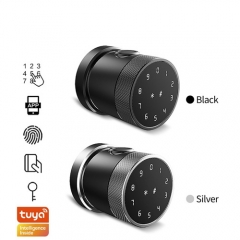 FL-D06 Tuya App Round Knob smart door lock