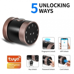 FL-D06 Tuya App Round Knob smart door lock