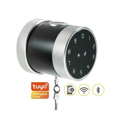 FL-D06 Tuya App Round Knob smart door lock