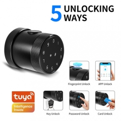 FL-D06 Tuya App Round Knob smart door lock