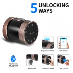 FL-D06 TTlock App Round Knob smart door lock